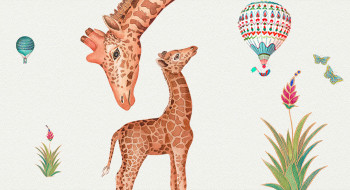 giraffes and hot air balloons